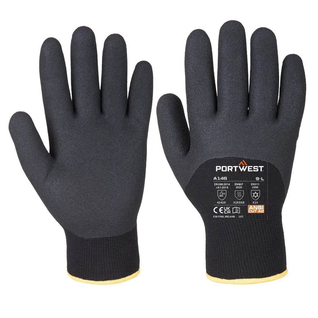 GANT HIVER ARCTIC