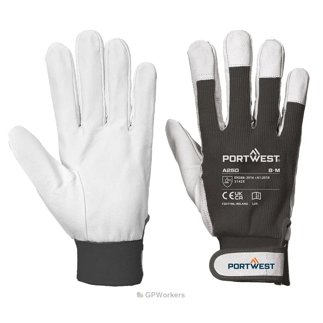 TERGSUS GLOVE