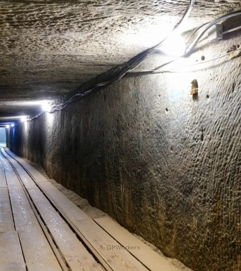 Formation initiale  CATEC® R472