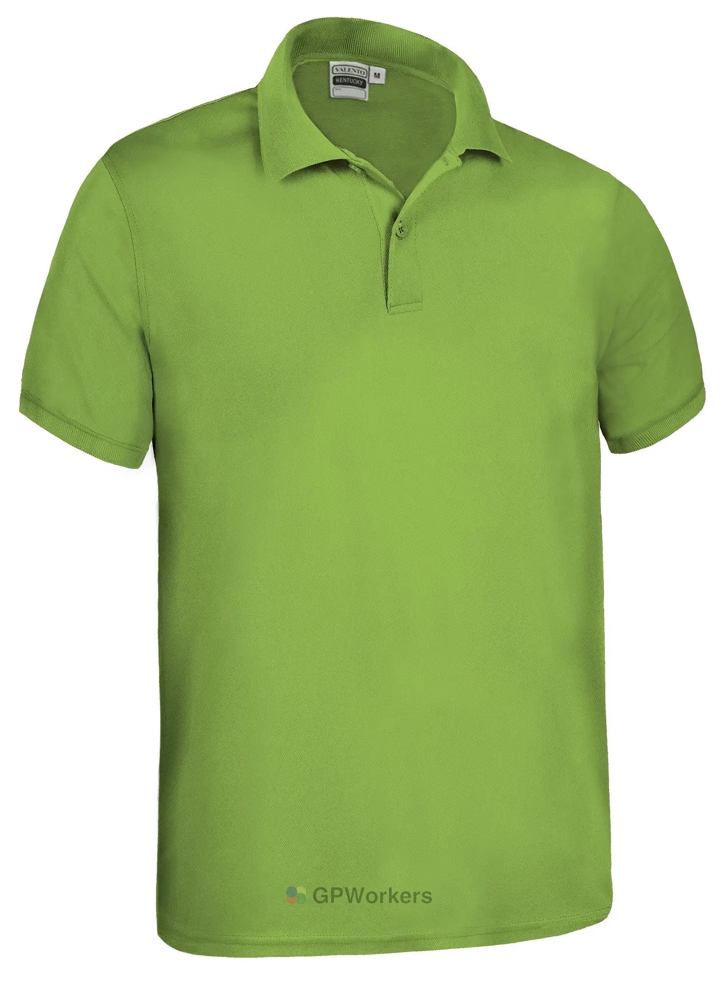 Polo manche courte KENTUCKY VALENTO