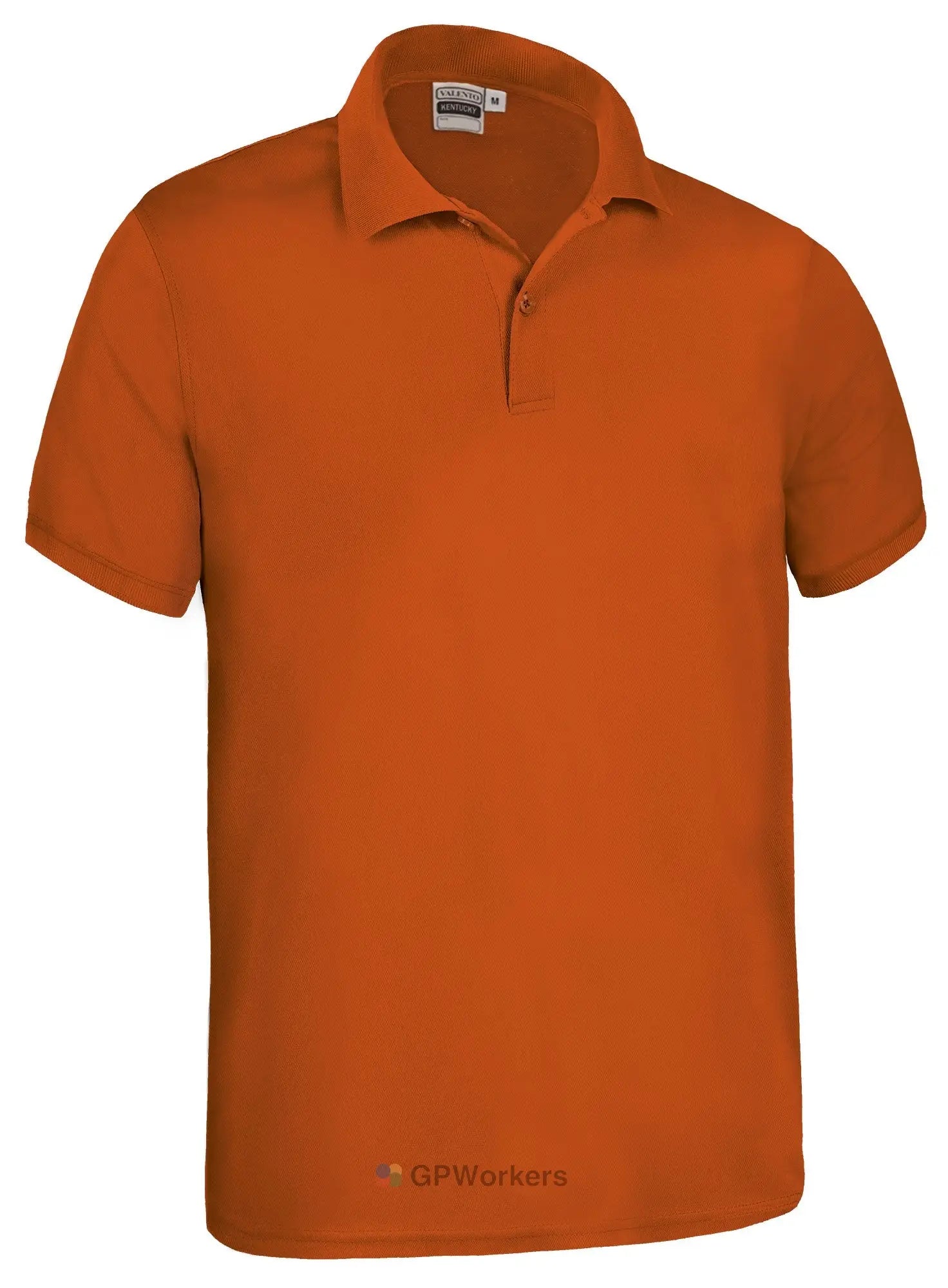 Polo manche courte KENTUCKY VALENTO