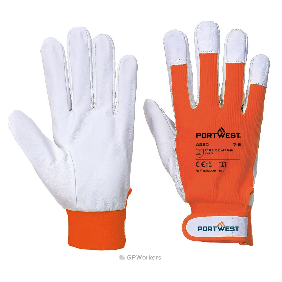TERGSUS GLOVE PORTWEST