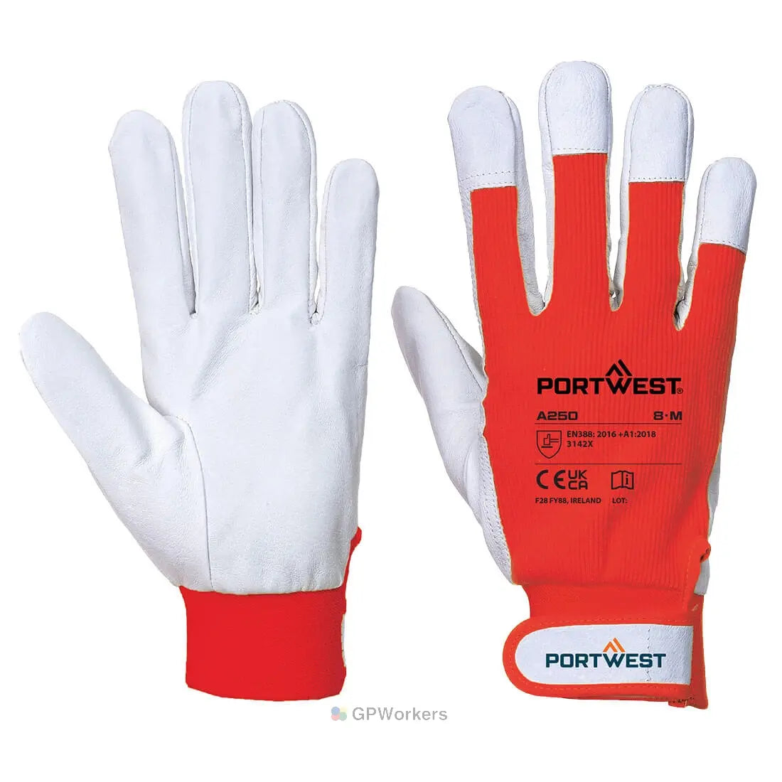 TERGSUS GLOVE PORTWEST