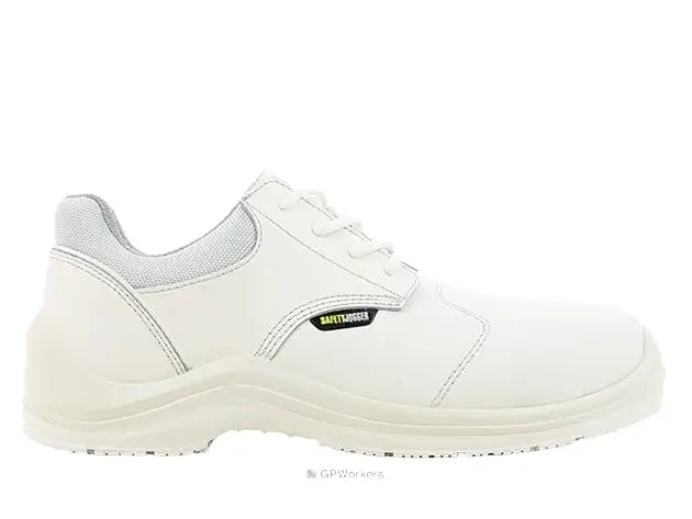 VOLLUTO81