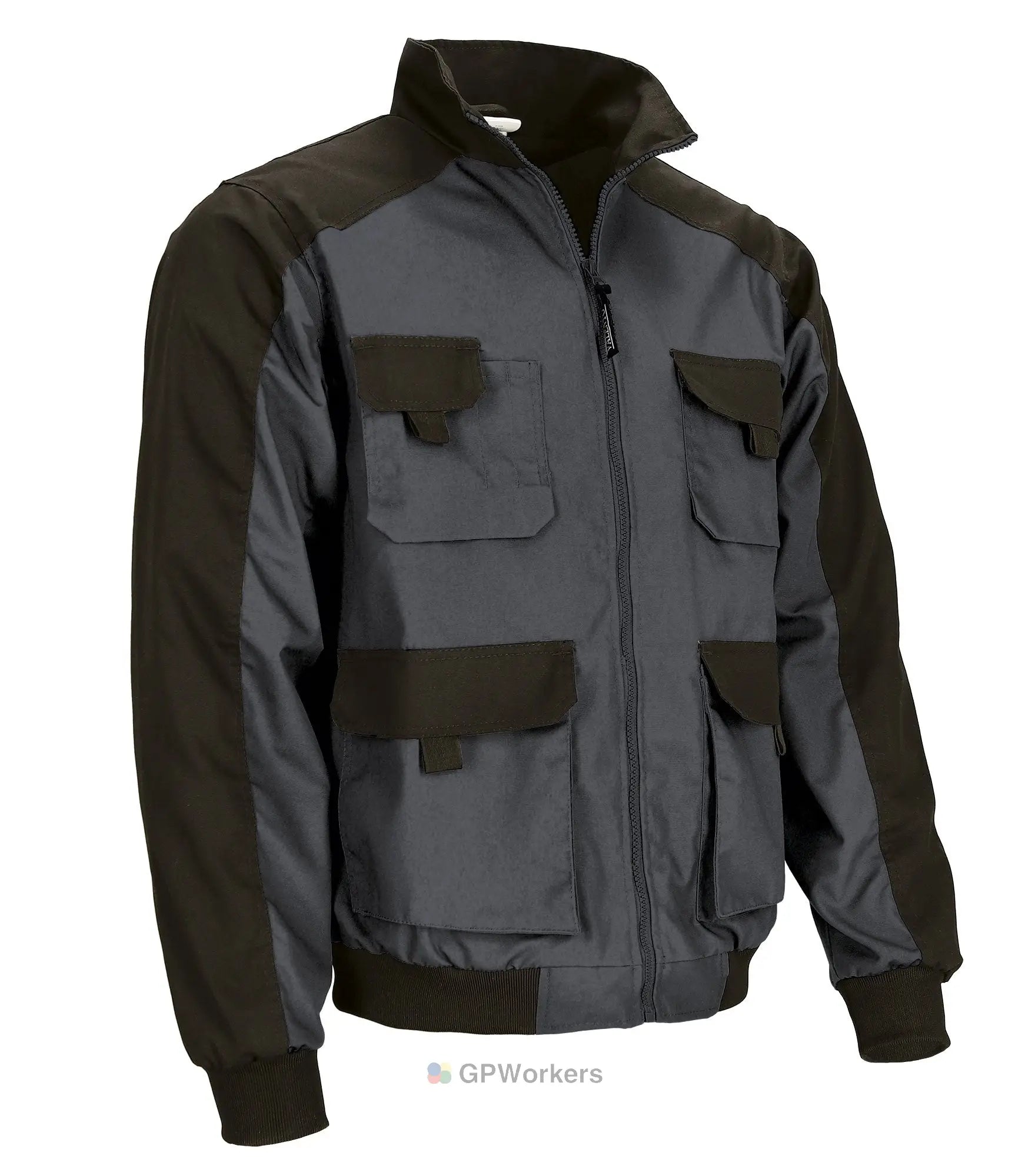 Veste DYNAMITE VALENTO